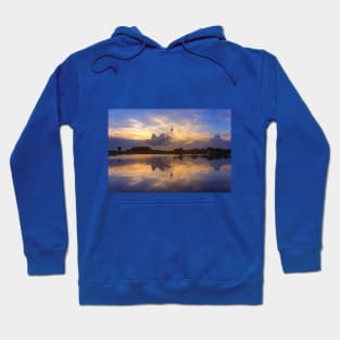 Purple sunset Hoodie